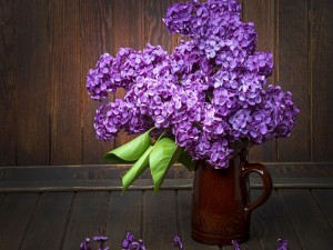 Postal: Un florero con lilas