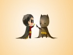 Jóvenes Batman y Robin