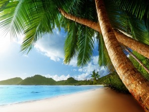Postal: Hermosa isla tropical