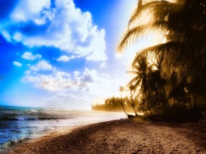 Sol tras las palmeras iluminando una playa