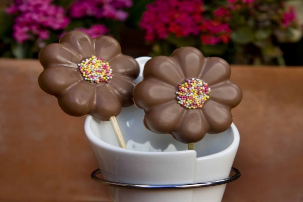 Flores de chocolate