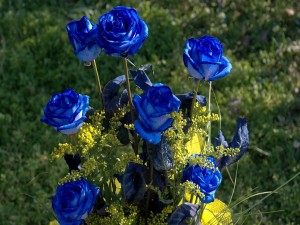 Ramo de rosas azules y flores amarillas