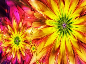 Flores  abstractas de colores
