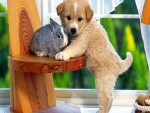 Cachorro junto a un conejo gris