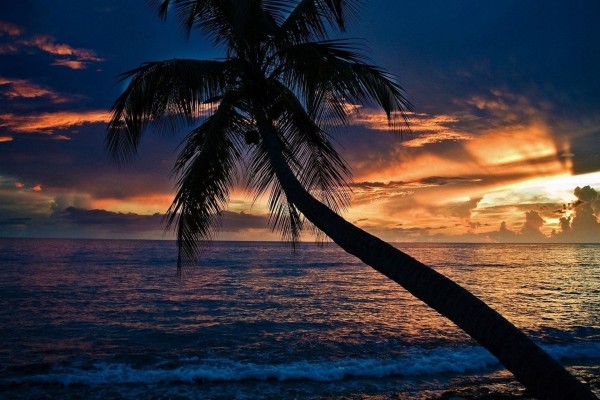 Amanece en una playa tropical