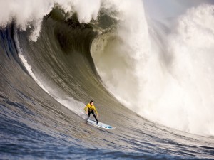 Surfista sobre una gran ola