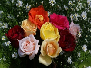 Postal: Ramos con rosas de varios colores