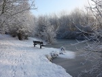 Banco nevado junto a un río congelado