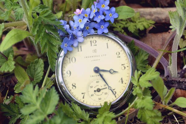 Pequeñas flores sobre un reloj
