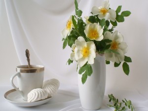 Té y flores