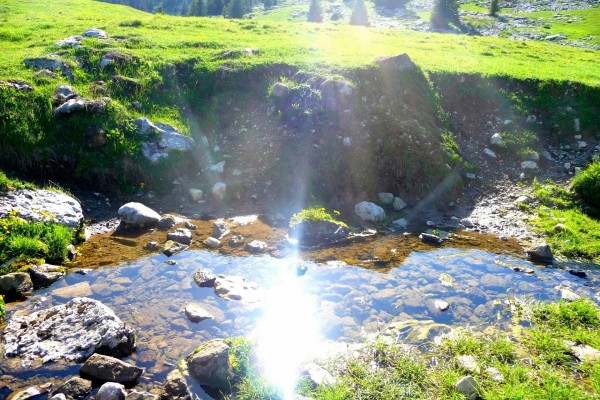 La luz del sol reflejada en un río