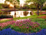 Bellos tulipanes junto un estanque