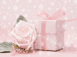 Rosa junto a una caja de regalo con cinta rosa