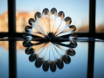 Pétalos reflejados formando una flor