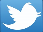 El pájaro de Twitter