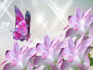 Mariposas volando sobre unas flores