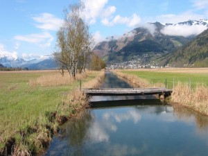 Postal: Pequeño puente de madera sobre un arroyo