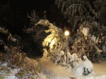 Luz en un parque nevado