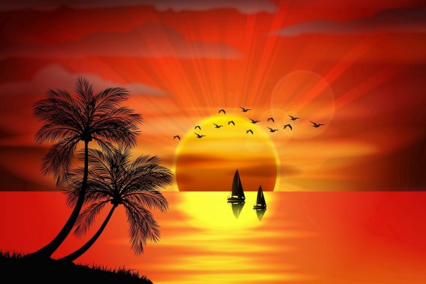 Isla tropical con palmeras, pájaros y veleros en el ocaso del sol