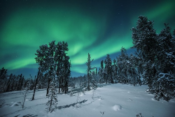 Aurora boreal sobre un paisaje nevado