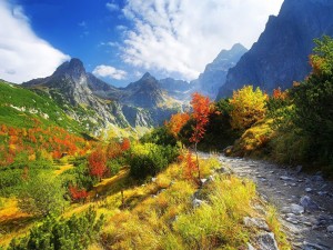Los colores del otoño bajo las montañas