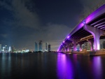 Magnífico puente con luces fucsias en la ciudad de Miami