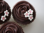 Cupcakes de chocolate decorados con pequeñas flores