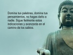 Frase junto a Buda