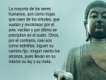 Gran frase junto a un Buda