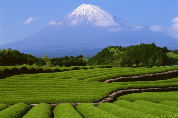 Hermosa vista del Monte Fuji