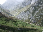 Carretera vista desde una montaña (Parque Nacional de los Picos de Europa)