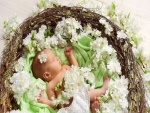 Bebé durmiendo en un nido con flores blancas
