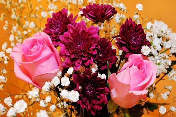 Ramo con rosas de color rosa, dalias púrpuras y pequeñas flores blancas