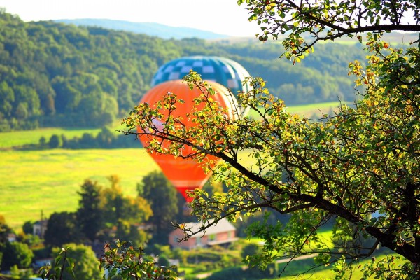 Dos globos volando sobre un campo verde
