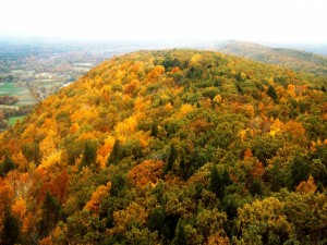 Vista aérea de los colores del otoño