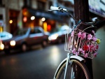 Bicicleta adornada con unas flores