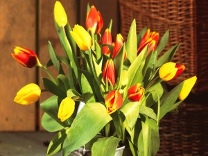 Ramo de tulipanes iluminado