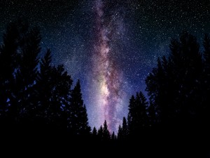 Vía Láctea sobre un pinar