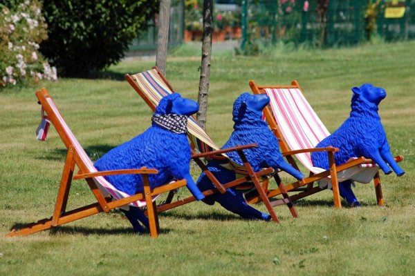 Ovejas azules sentadas en unas tumbonas