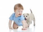 Bebé jugando con un cachorro