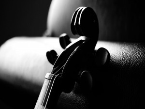 Parte superior de un violín