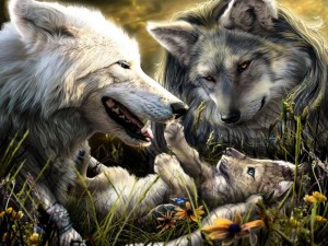 Familia de lobos