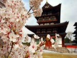 Árbol en flor junto a un templo oriental