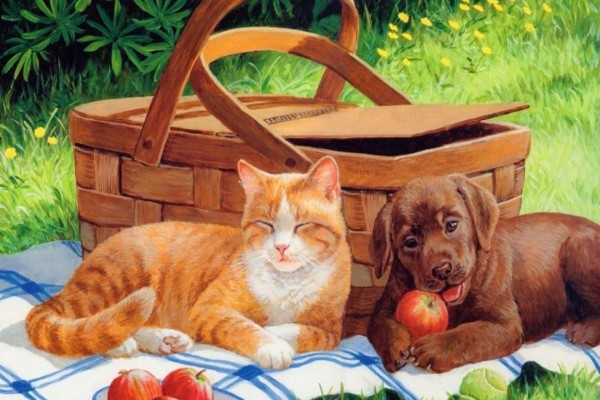 Un gato y un perro junto a una cesta de picnic