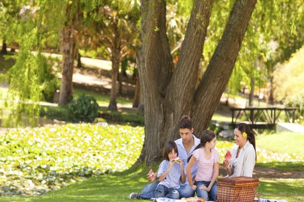 Familia feliz de picnic en el parque