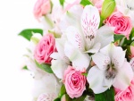 Ramo de flores rosa y blanco