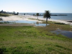 Restos de la antigua playa de Pontchartrain (Lago Pontchartrain, Nueva Orleans)