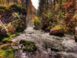 El cauce de un río en otoño