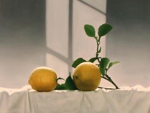 Dos limones junto a una rama
