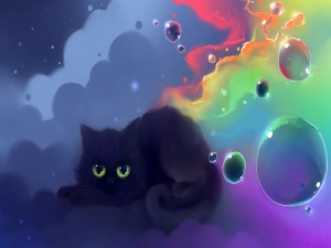 Gatito negro rodeado de burbujas